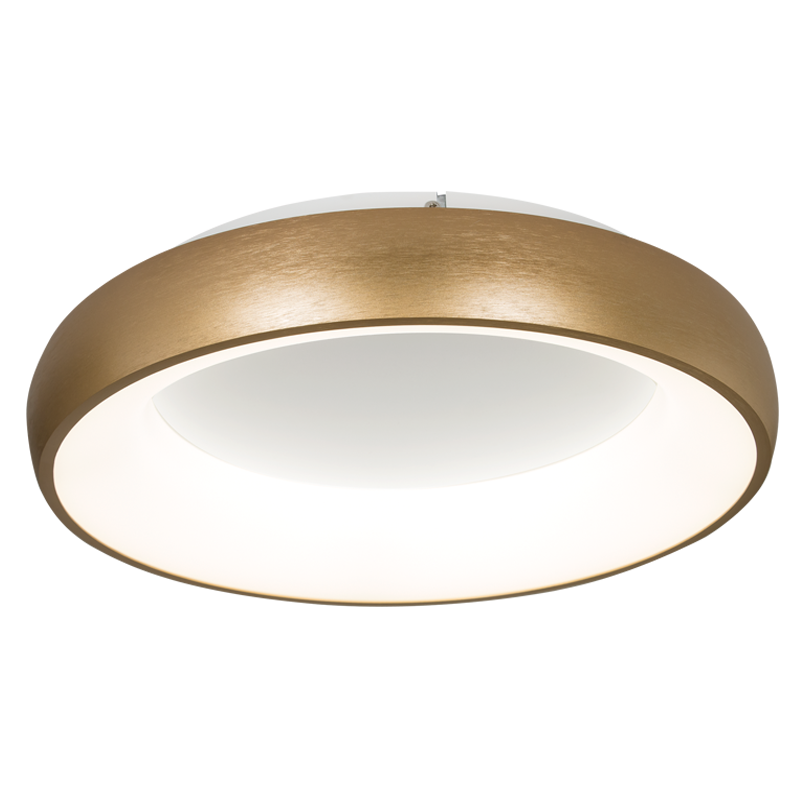 LED Ceiling Fitting (CF276 GOLD)