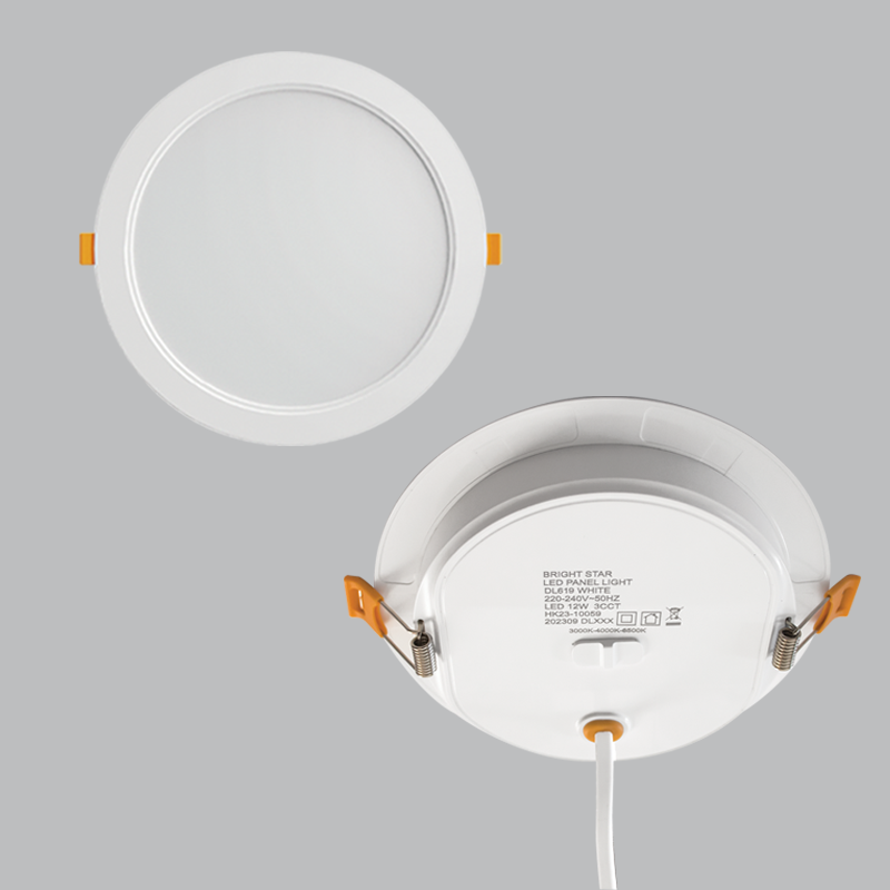 LED Panel Light with Colour Changing Switch on the back of the Downlight, IP54 (DL619 WHITE)