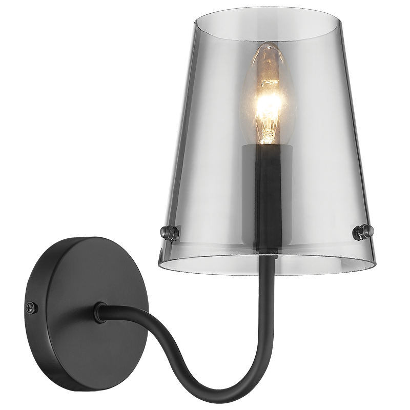 Metal Wall Light with Smoky Glass shade (WB899/1 MATT BLACK)