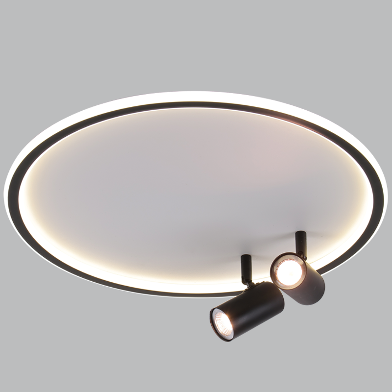 Metal and Plastic Ceiling Fitting (CF606/2 BLACK)