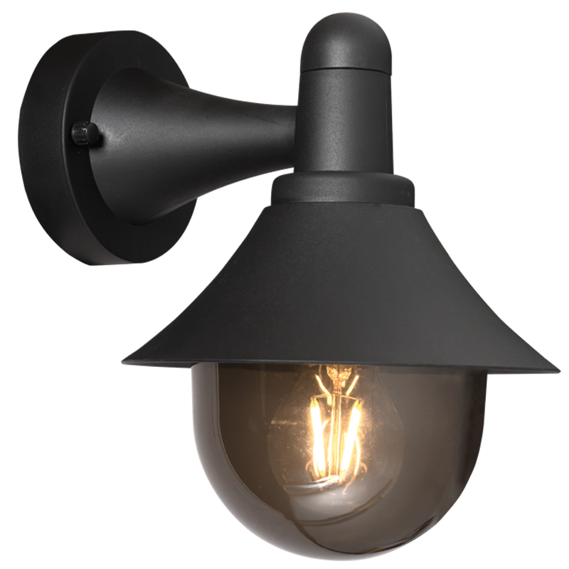 Plastic Wall Light with Smoke Colour PC Cover (L628 BLACK)