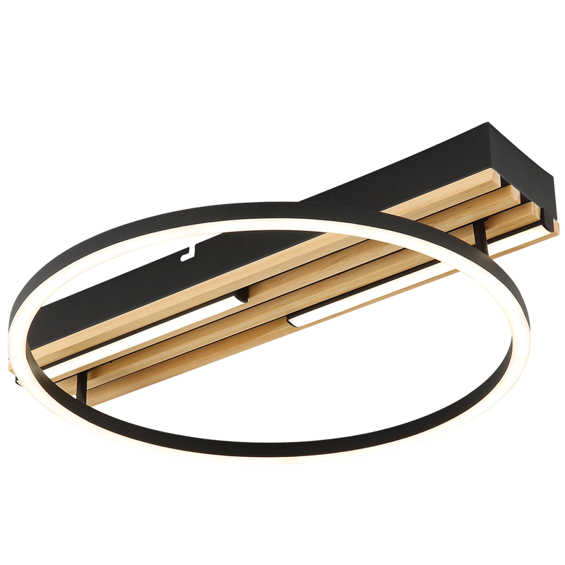 LED, Metal Ceiling Fitting with PVC Diffuser (CF618 BLACK)