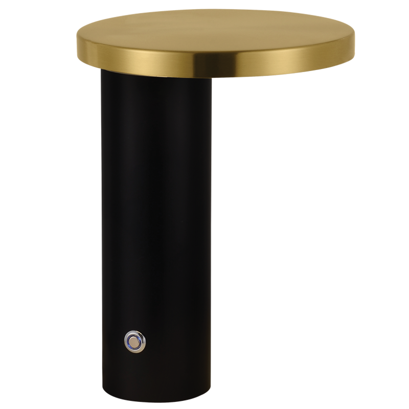Metal and Acrylic Table Lamp (TL105 BK/GD)