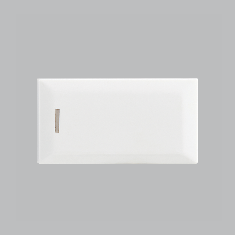 ECP109 WHITE (ECP109 AND ECP110 WHITE)