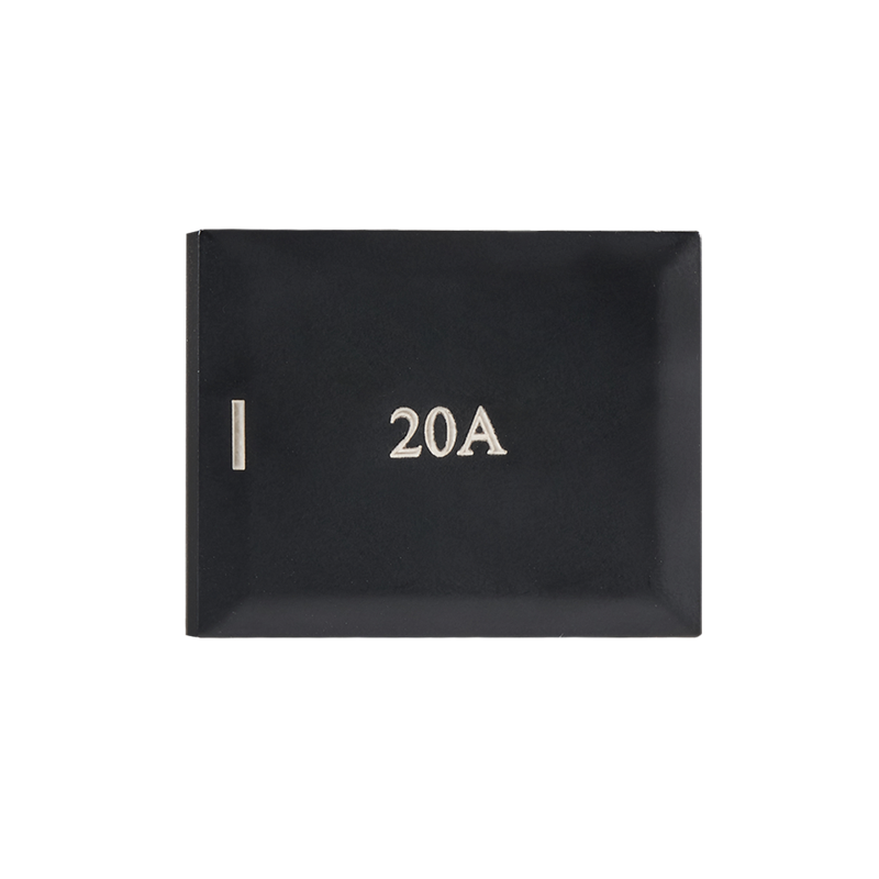 20A Isolator ( 1.5 Module ) (ECP176 BLACK)