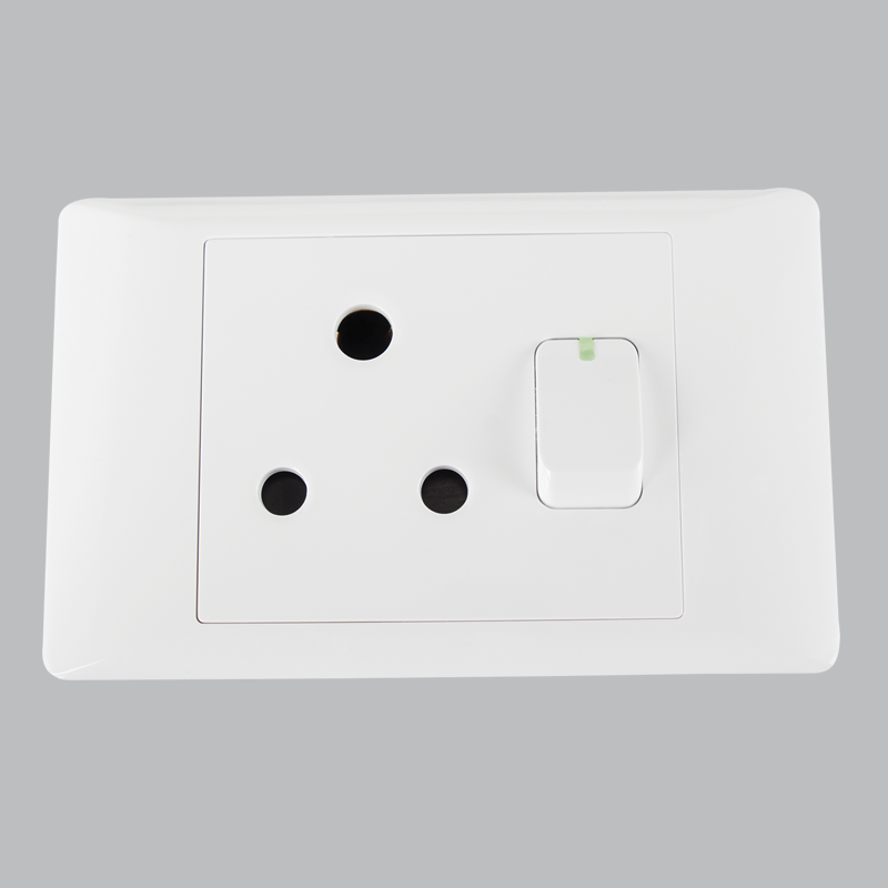16 AMP Plug – 2 X 4 (EPL301 WHITE)