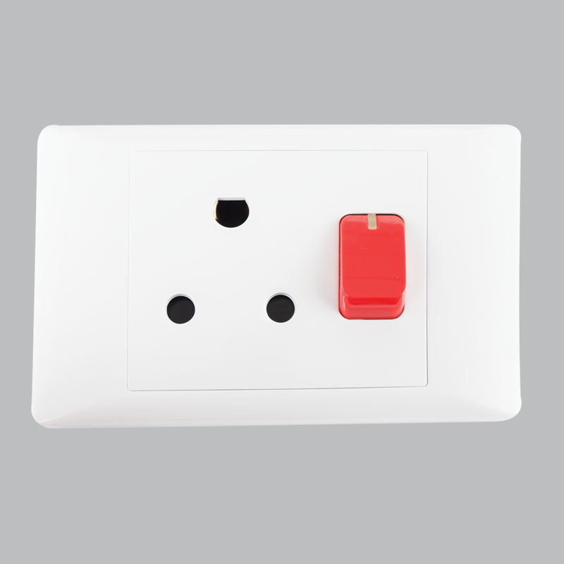 16 AMP Dedicated Plug – 2 X 4 (EPL328 WHITE)