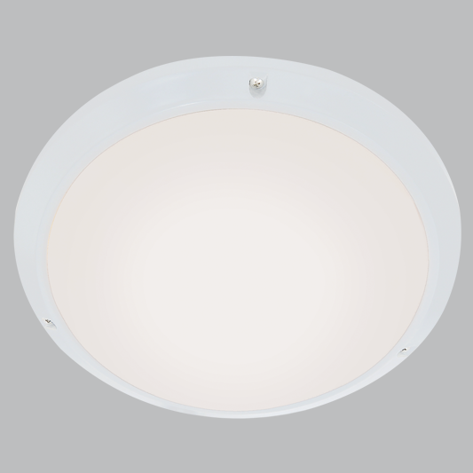 ABS Plastic with Opal Polycarbonate Cover (BH114)