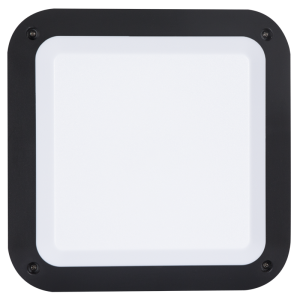 ABS Plastic with Polycarbonate Cover (BH120)