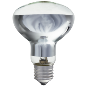 70W R80 (BULB 721)