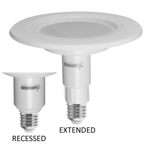 10W LED ES RETROFIT LAMP (BULB LED 172)
