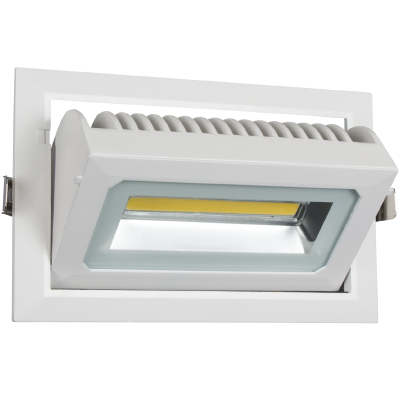 Rectangular Adjustable Downlight (DL101 WHITE)