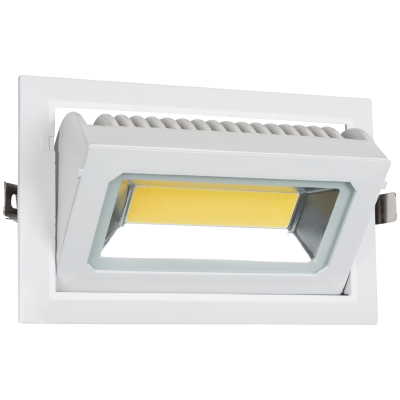 Rectangular Adjustable Downlight (DL102 WHITE)