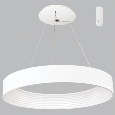 Metal and Plastic Pendant with Remote Control (PEN690 WHITE)