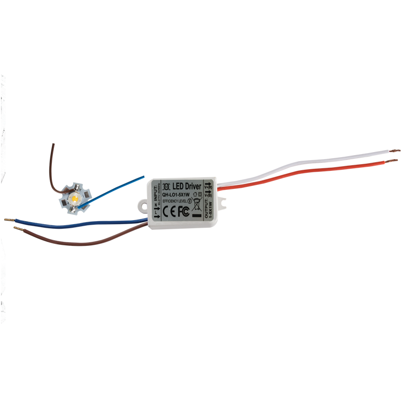 1W LED COB with 500mm Wire and LED Driver (PART650)
