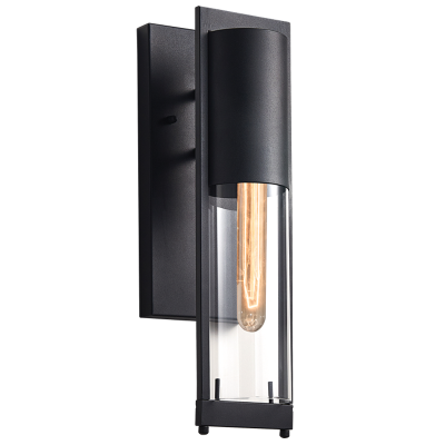 Iron and Clear Glass (L353 BLACK)