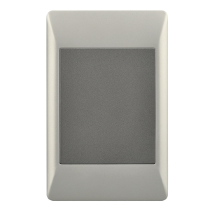 Blank Plate – 2 X 4 (ESW080 DUO)