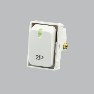 Double Pole Isolator Switch (COMPONENT) (ECP624 WHITE)