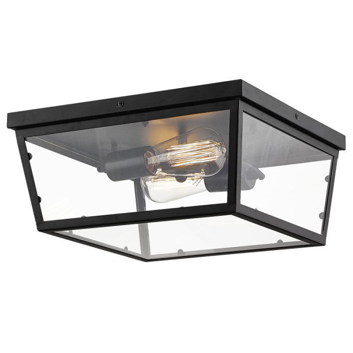 Metal with Clear Glass (BH2081 BLACK)