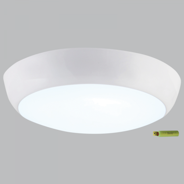 Emergency Light, IP54 (CF132 EMERGENCY)