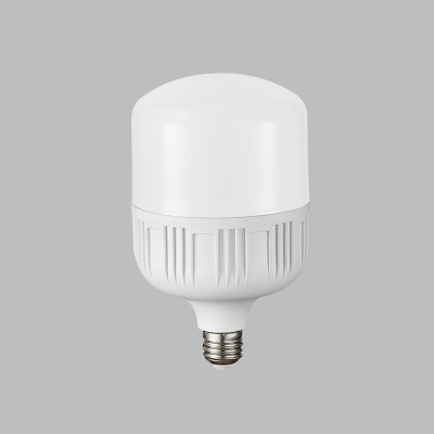 E27 (ES) Lampholder (BULB LED 222)