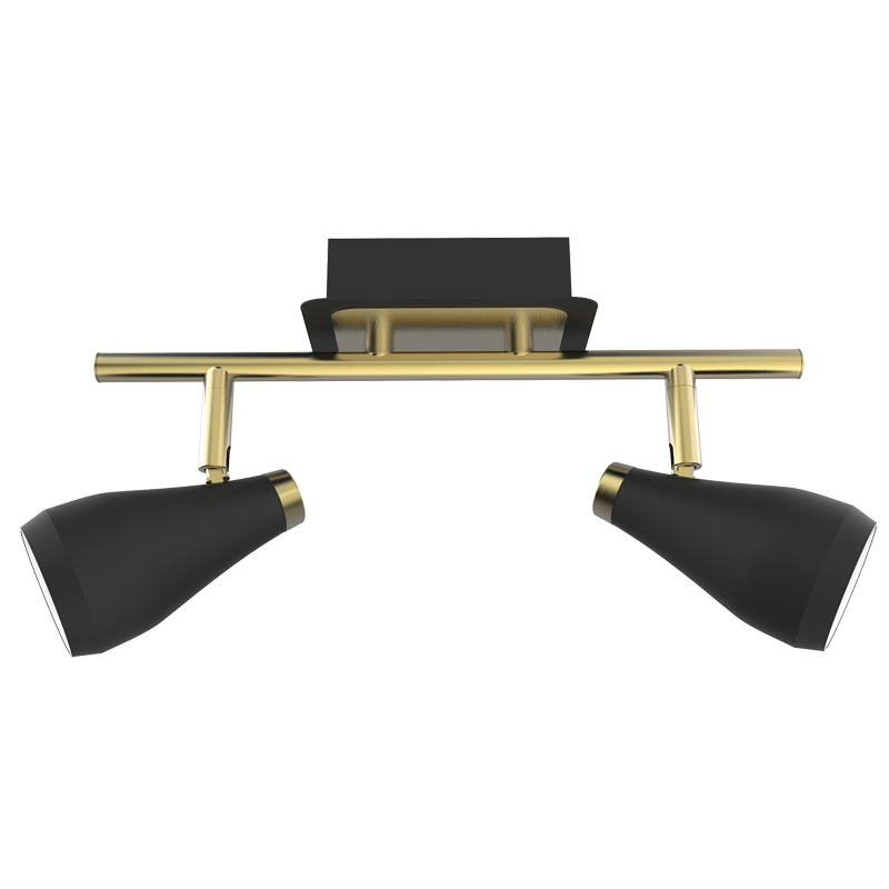 Matt Black and Satin Brass Spotlight (S173/2 BLACK/BRASS)