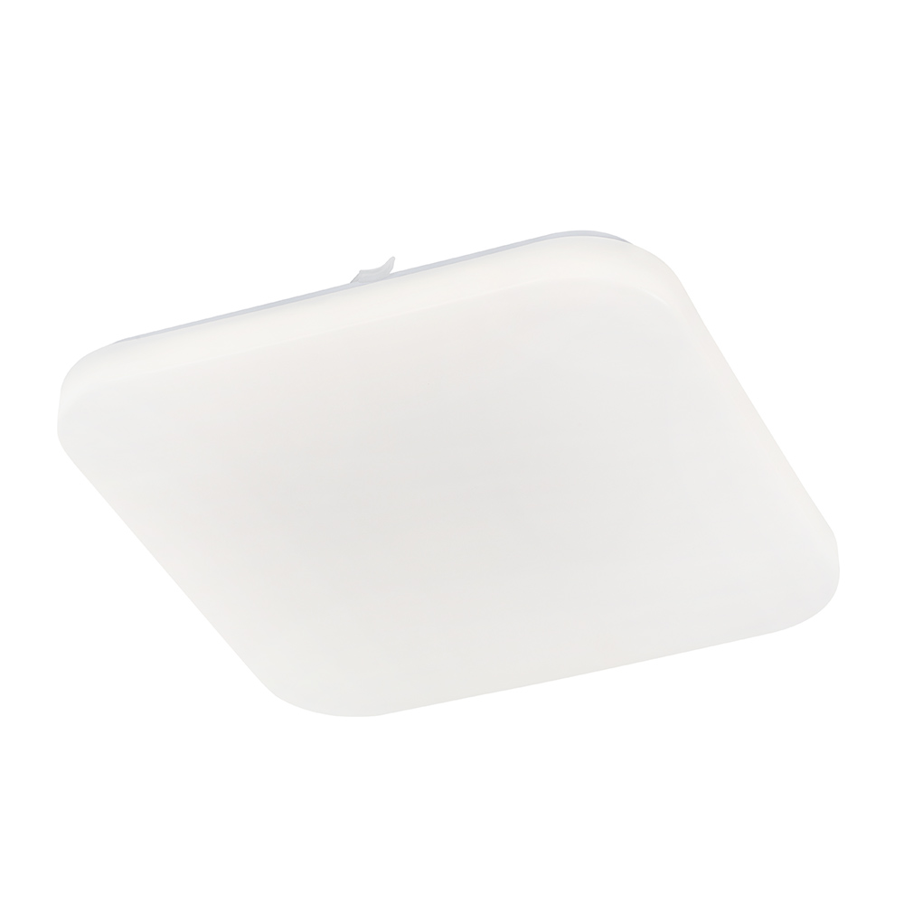 Led Ceiling Light 16W 3000K (C559WW)