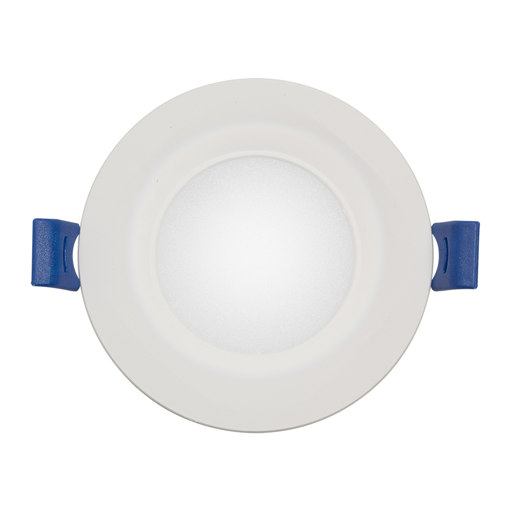LED Panel Downlight 3W Round 4000K (D110)