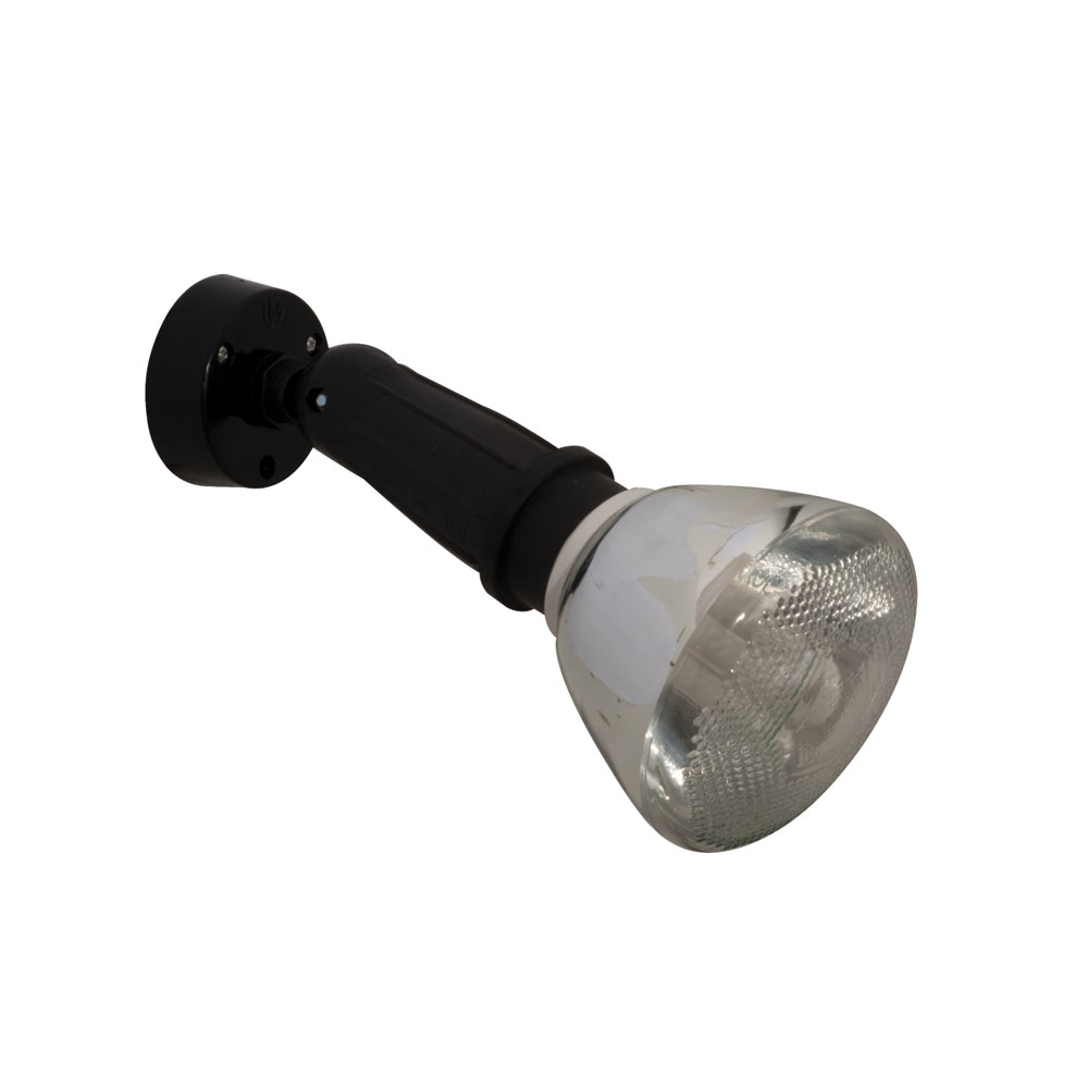 PAR38 Fitting - 1 Light Black (FS178)