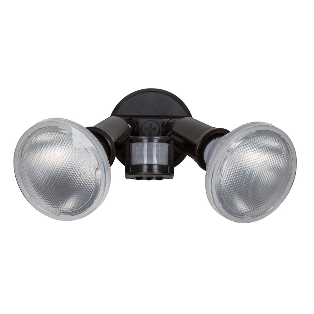 Security light for PAR 38 (FS32)