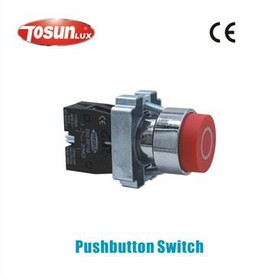 Spring Return Pushbutton Switch (PB2-BL21)