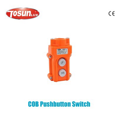 Pushbutton Switch (244266231)