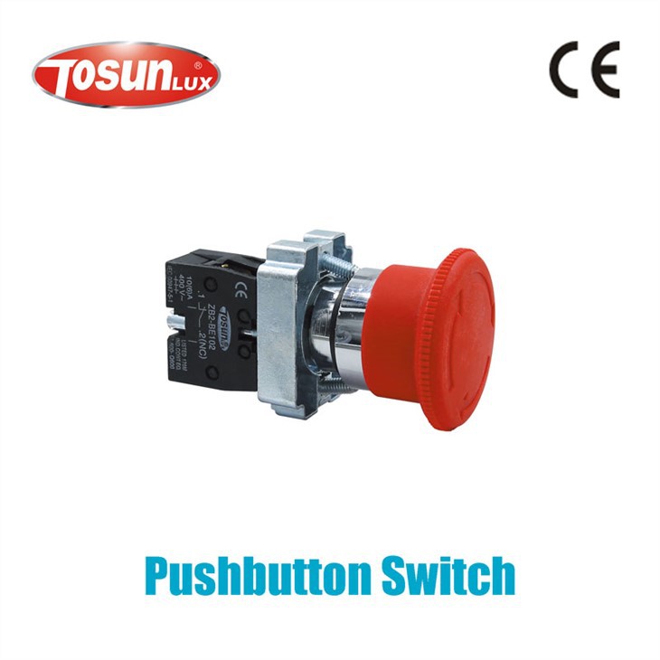 22mm Diameter Push Button Switch (71356352)