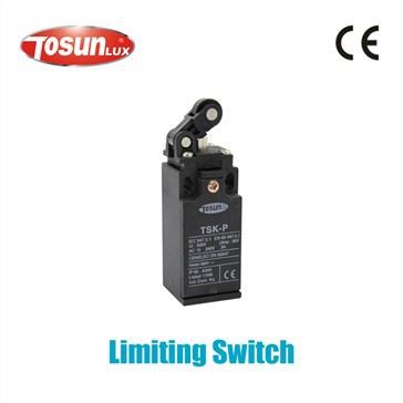 Mechanical Limit Switch (81046863)