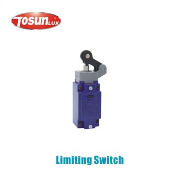 Limit Switch With Arm (ME series)